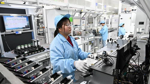 重學歷輕技能現象仍存，工廠“招工難”與青年“就業難”并存